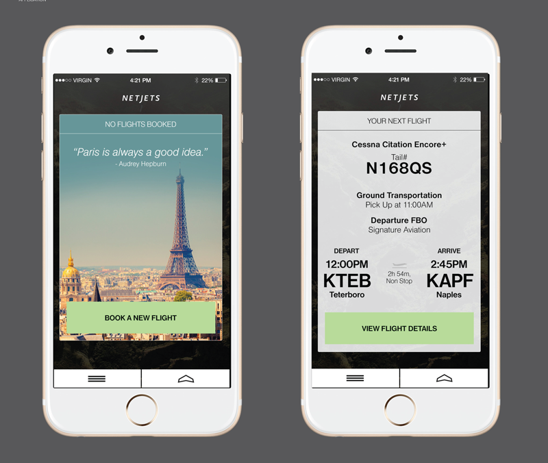 netjets-visuals1